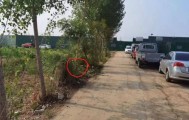 车主已去世，车却在案发现场徘徊……