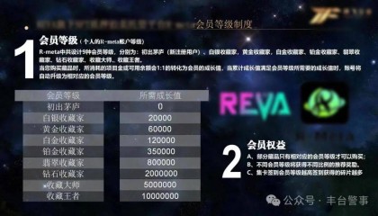 反转！报案人变嫌疑人 丰台警方破获一起“华某会”虚拟币传销案