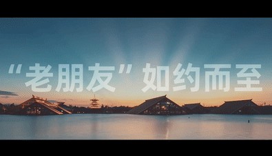 进博会｜开放·合作·共享