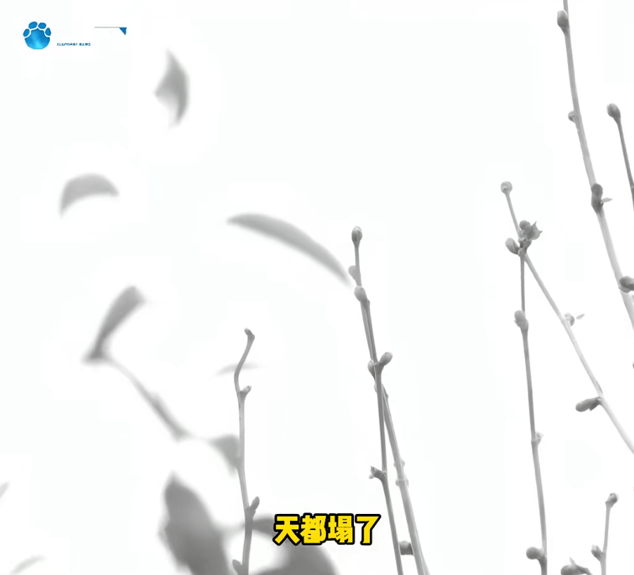 "天塌了，我一生都毁了", 男子称养了20年才发现儿子非亲生！前妻坚决否认